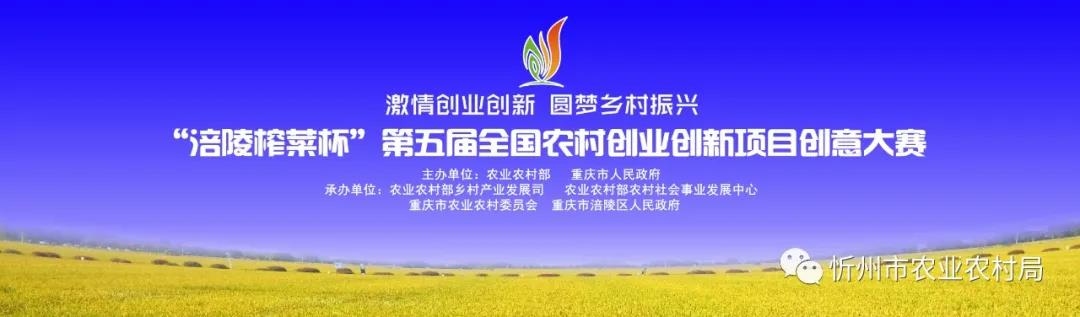忻州市功能农产品“台藜奶”项目斩获全国农村农业创新项目创意大赛三等奖(图1)